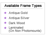Available Frame Types
